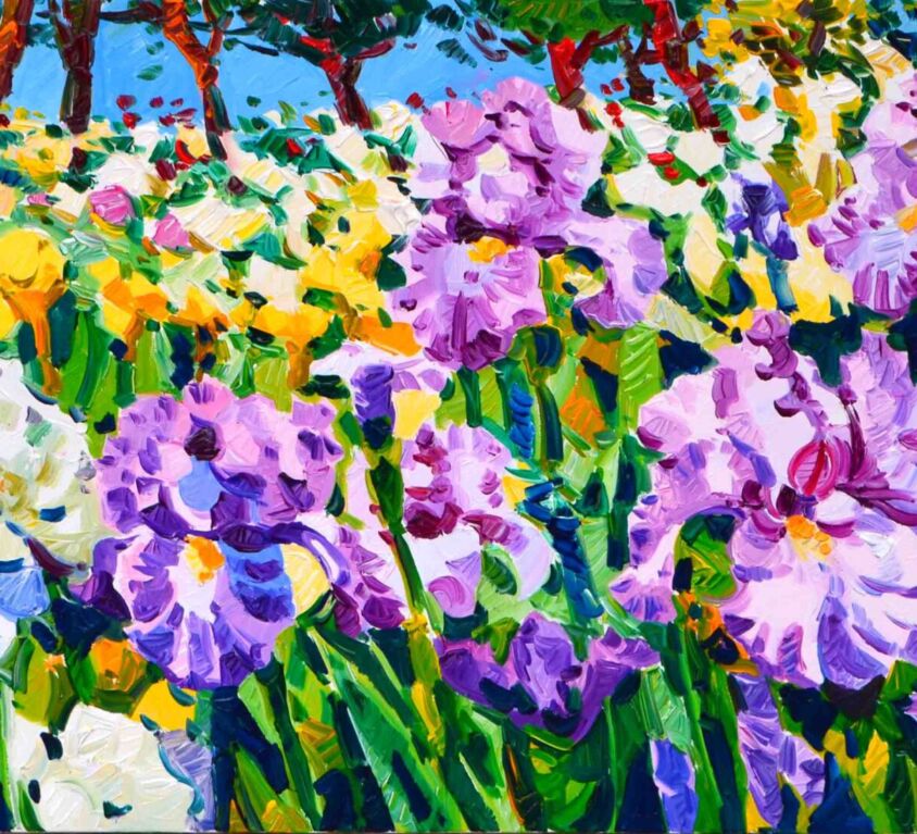 Gli iris del mio giardino