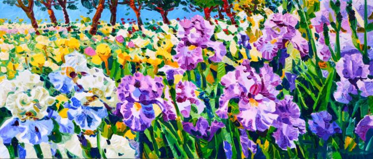 Gli iris del mio giardino
